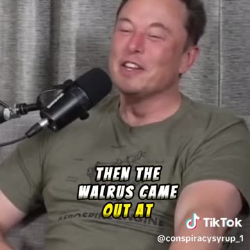 Elon Musk Fights a Bully