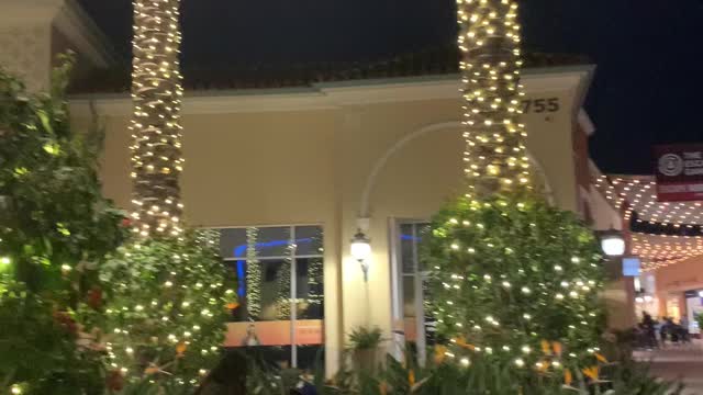 Christmas lights in Irvine