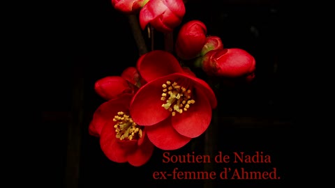 Soutien de Nadia ex-femme de Ahmed Moualek