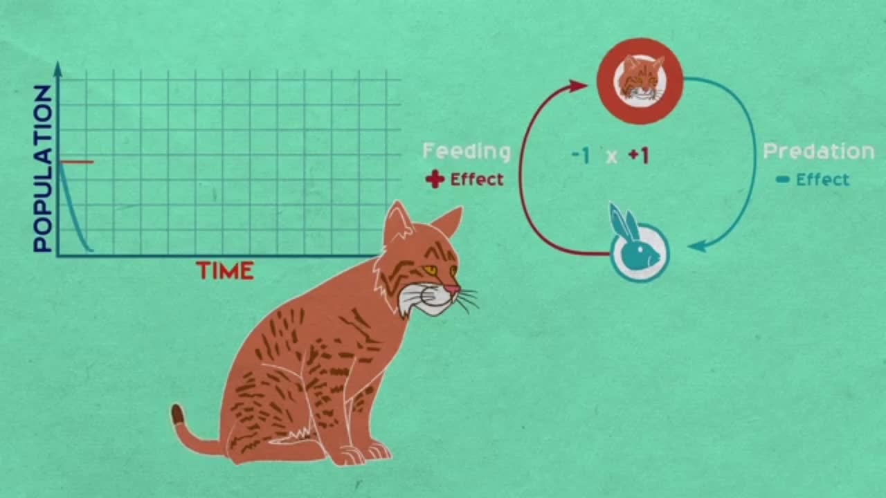 Negative feedback reduces or offsets ecosystem changes