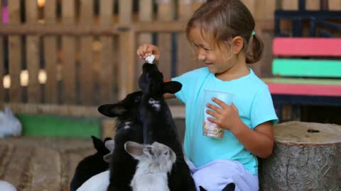 Cute child girl feeding rabbits from hands