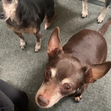 Snack time for the CK and siblings food