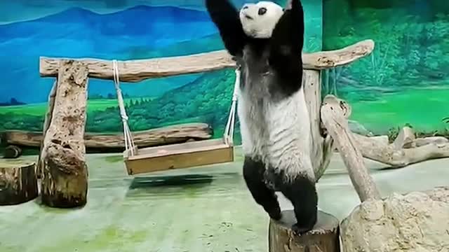 Kongfu Panda