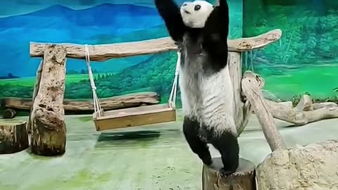 Kongfu Panda