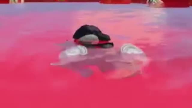 ROBLOX GAMING