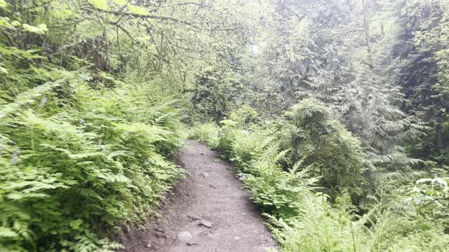 Two Bridge Crossings – Upper Latourell Falls – Columbia River Gorge National Scenic Area – 4K