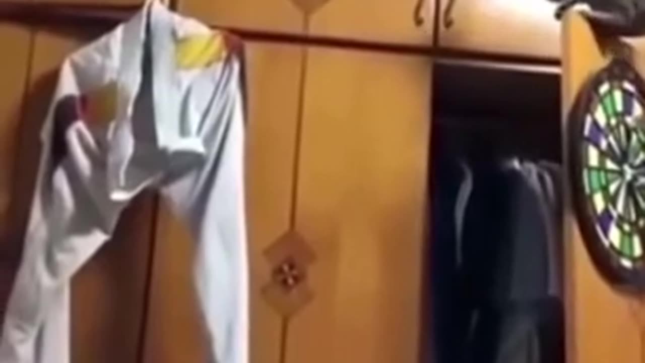 Funniest Cat And Dogs 😂