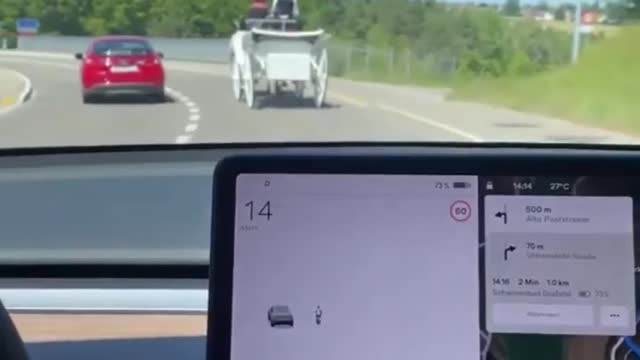 Tesla car confused on the road