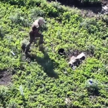 💥🔥💥 The A.i. will chase you down until you can't run anymore...