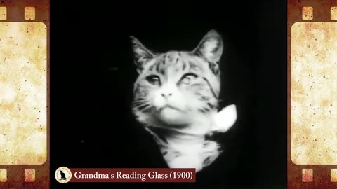 Grandma's Reading Glass (1900) 🐱 Cat Movies 🎥🐈