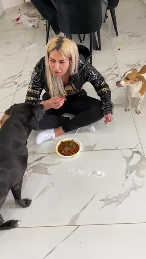 See I feed the dogs With my hand and she eats regularly oh my god