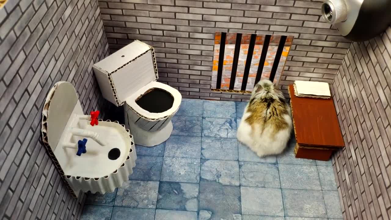 Hamster escapes the awesome maze Pets in real life Hamster stories Part 2