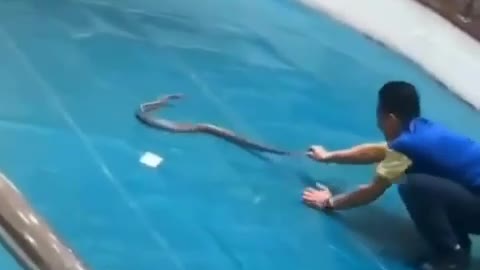 Snake Handdler