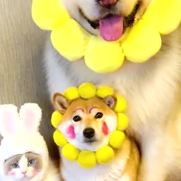 The family needs to be organized