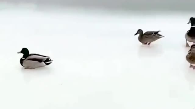 Cute moments |