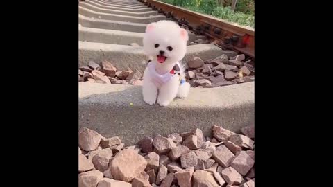 Must watch this before you die