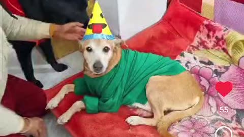 Timothy's birthday