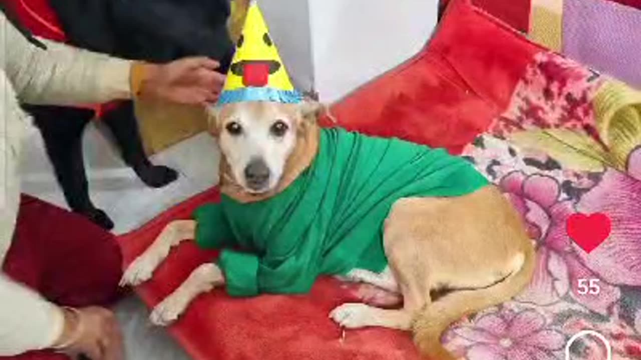 Timothy's birthday
