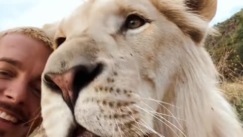 WOULD YOU ROAR WITH A LION? 😱🦁