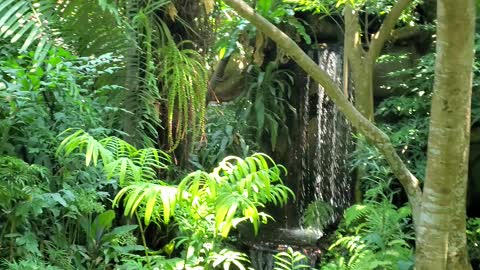 Can you believe this is a fake waterfall !