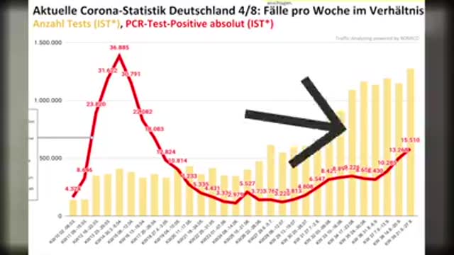 Entlarft mit mit eigenen Worten