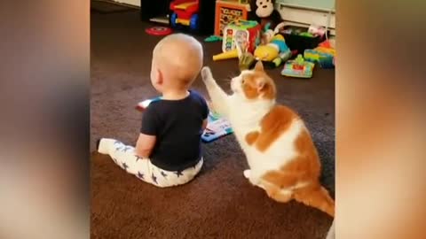 Funny cat and fun with cut baby