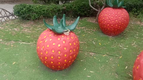 This strawberry is so big