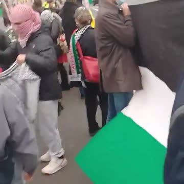 Hezbollah flags held up in Dublin. Lefties and islamists side by side.