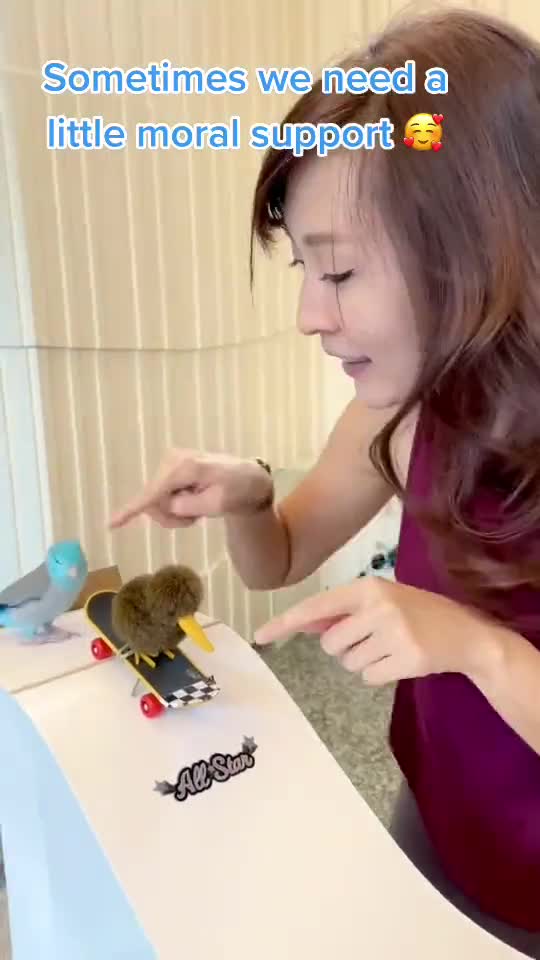 The smart bird in the world