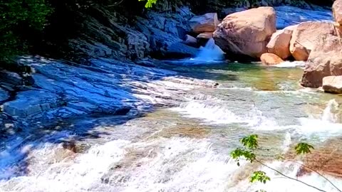 Nature Sounds ♬♬ with water sounds || Nature Discovers.......#shorts #naturesounds #natureshorts