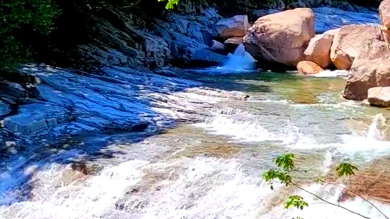 Nature Sounds ♬♬ with water sounds || Nature Discovers.......#shorts #naturesounds #natureshorts