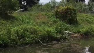 BEAUTIFUL LAKE - Lake & Nature