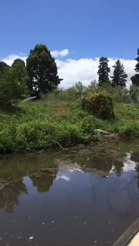 BEAUTIFUL LAKE - Lake & Nature