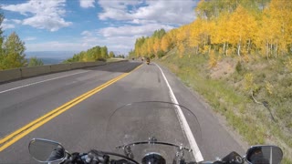 Harleys on Colorado Grand Mesa