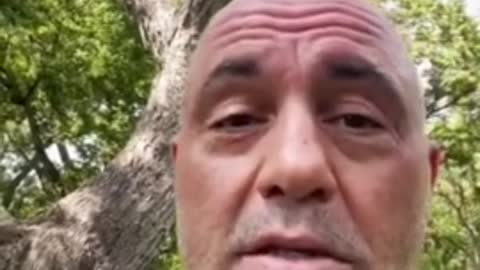 Joe Rogan Announces He Has Covid-19