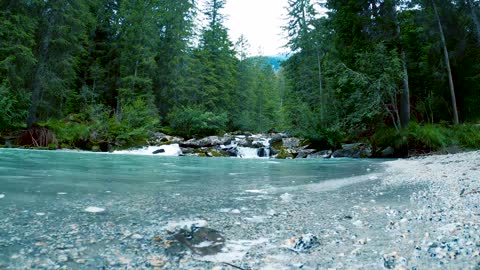 Low-Angle Shot of a Clean River in the Middle of the Woods