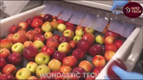 How Apple Juice Is Made in Factory | Modern Fruit Juice Making Technology | WSJ TECH