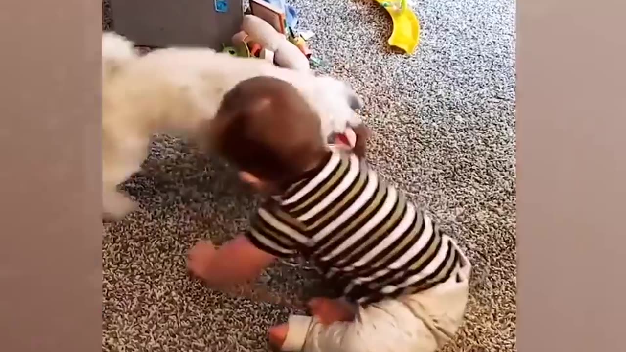 Baby and Doggy Cute Friends