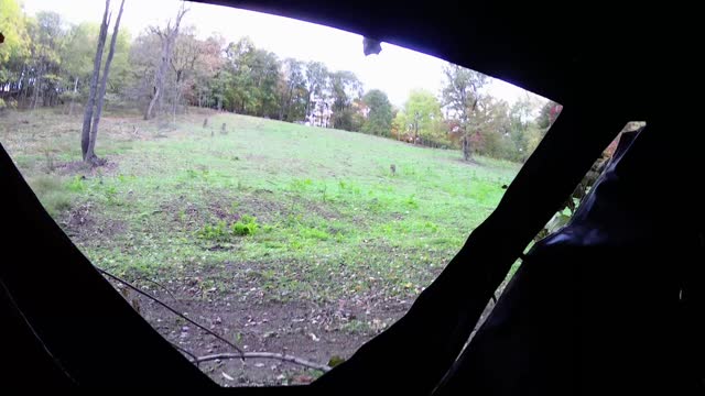 First Hunt in a Blind