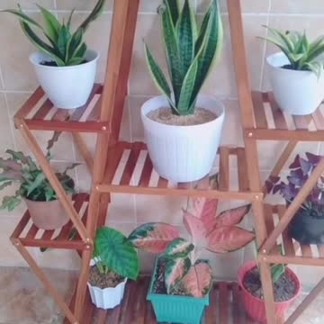 Wood Flower stand Rack