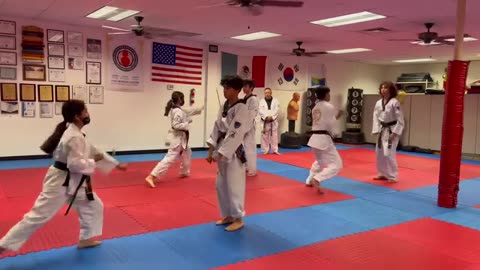 Taekwondo