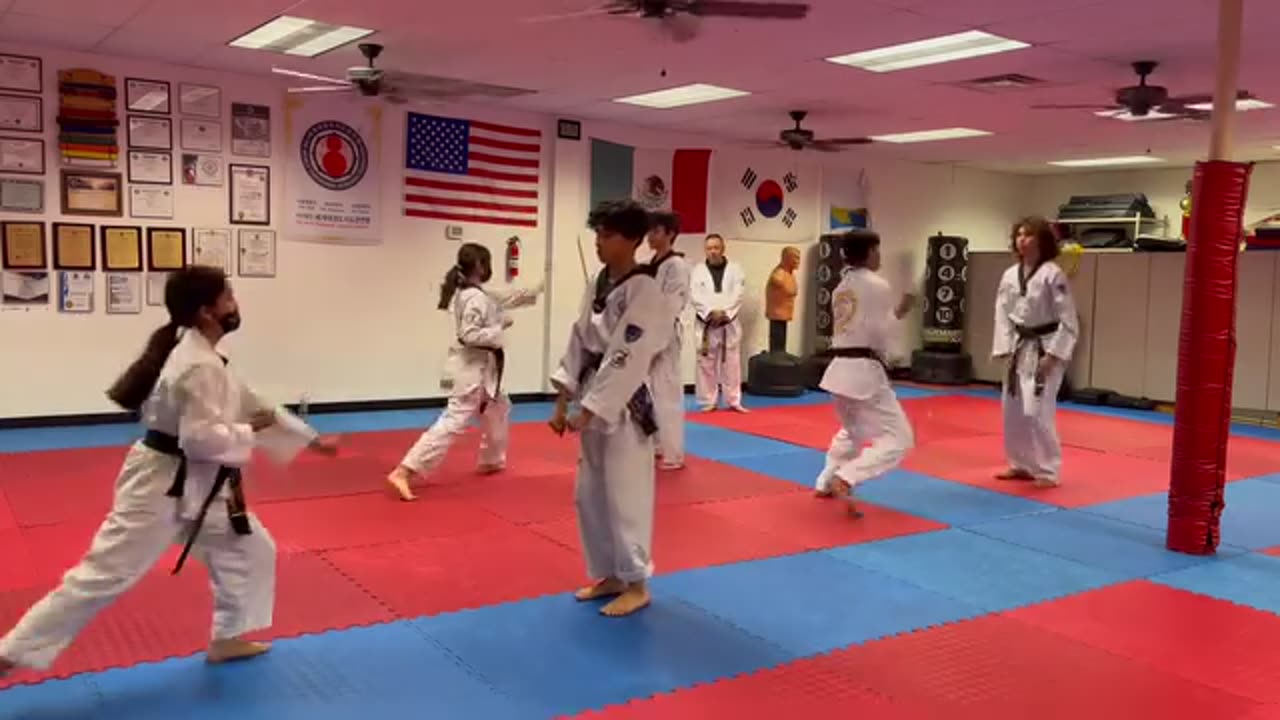 Taekwondo