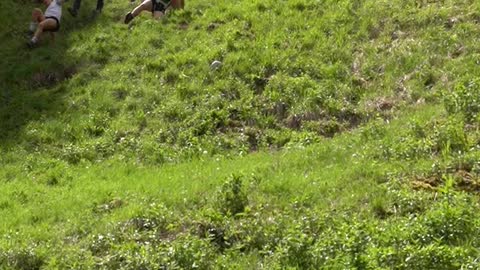 Ultimate Athleticism Displayed at the Cheese Rolling Race