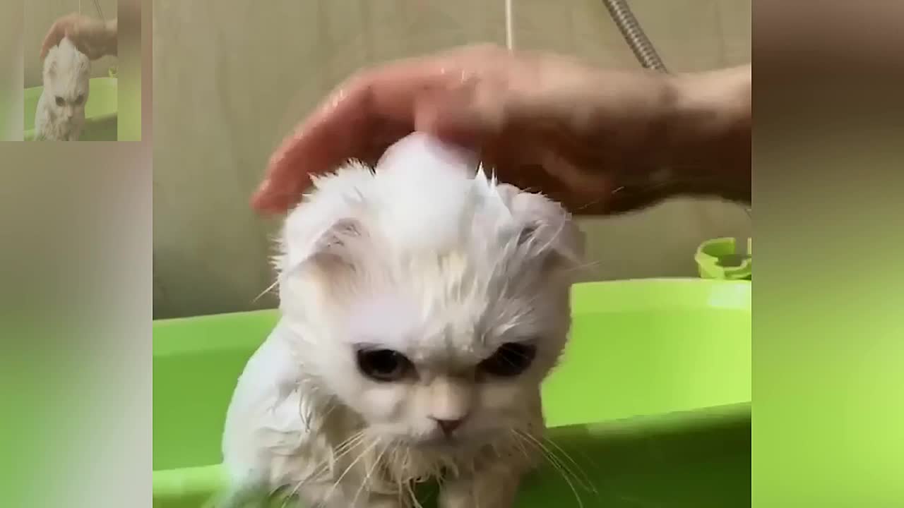 Time for a bath