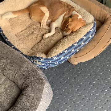 Lil taking a morning