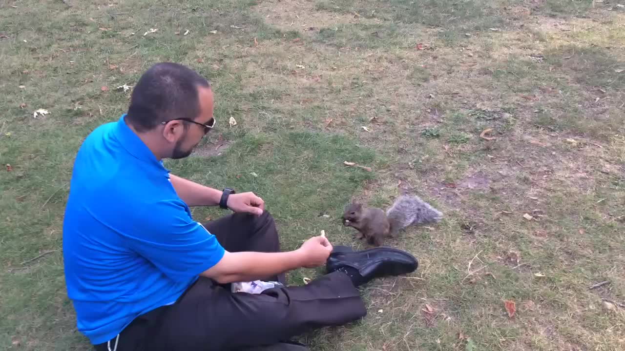 Feeding a squirrel on my break