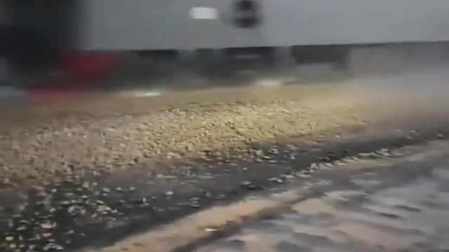 Watch out for that TRAIN!!