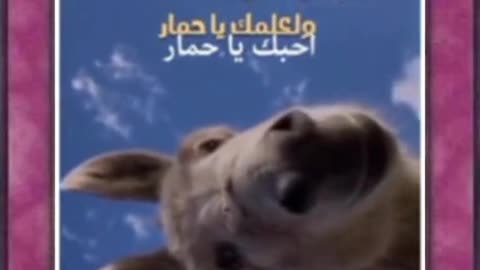 صاحبي العزيز