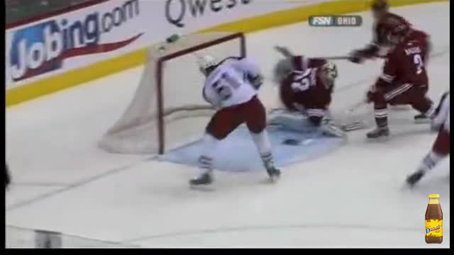 Most Amazing goal in NHL history!