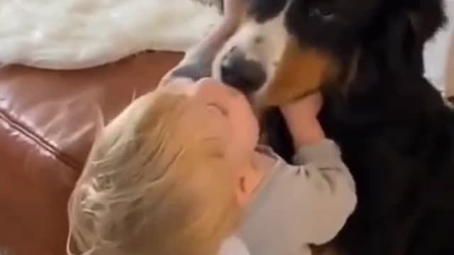 Cute boy love his dog and kiss him like a toy